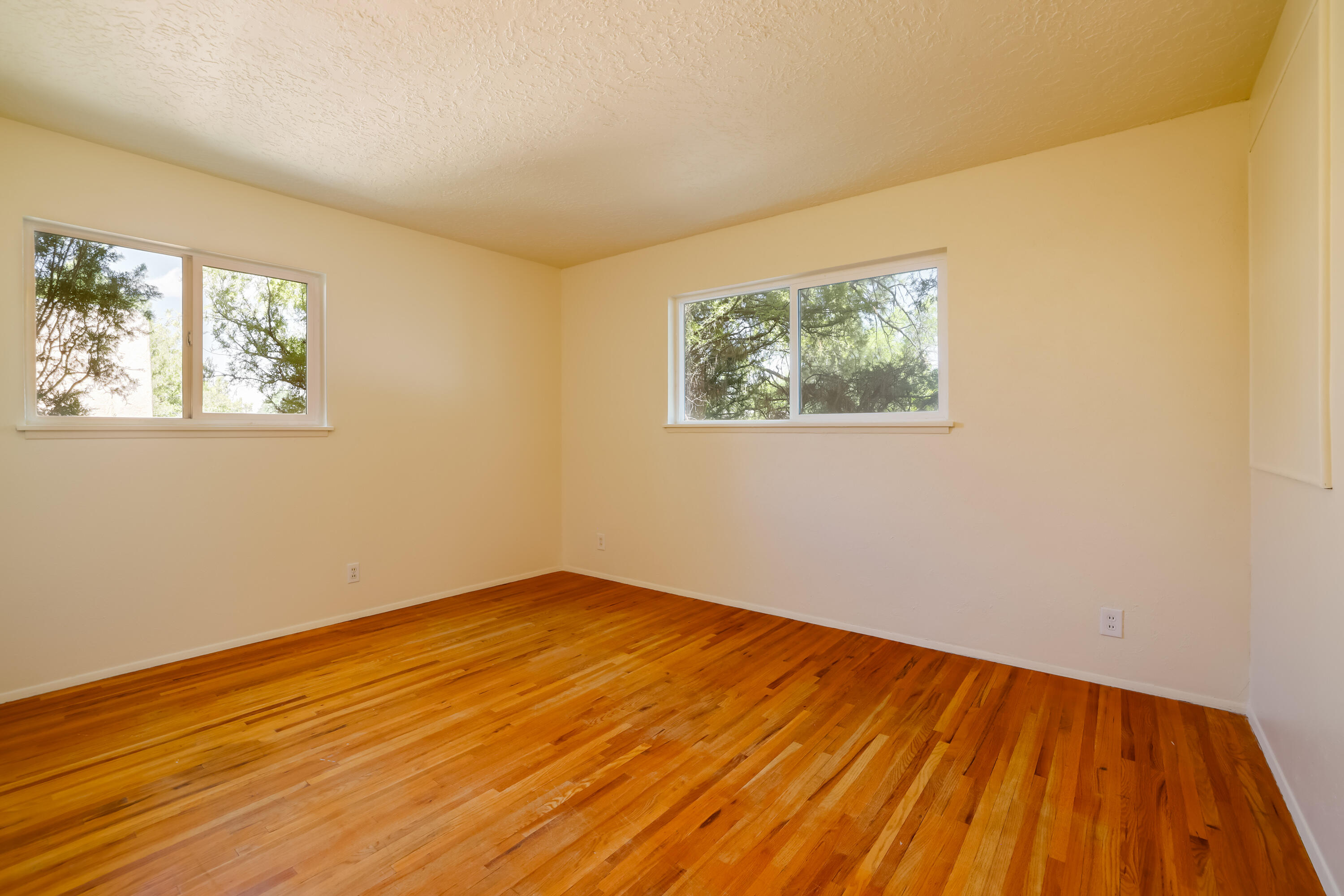 10212 Chapala Place, Albuquerque, New Mexico image 6