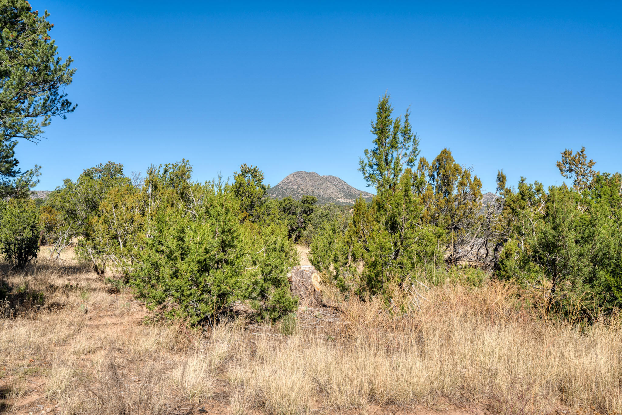 1229 B Nm 344, Stanley, New Mexico image 44