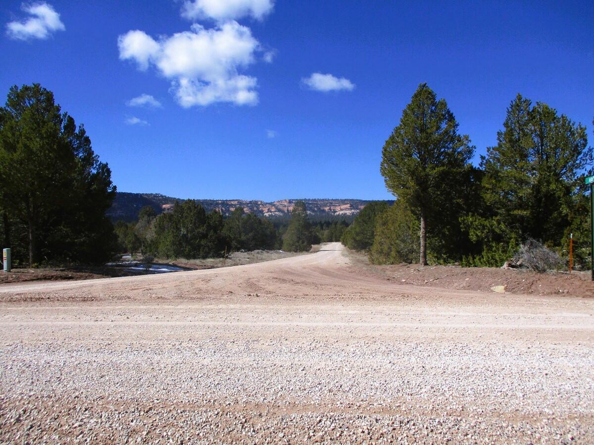 Lot 23 Copperweed Road, Ramah, New Mexico image 45