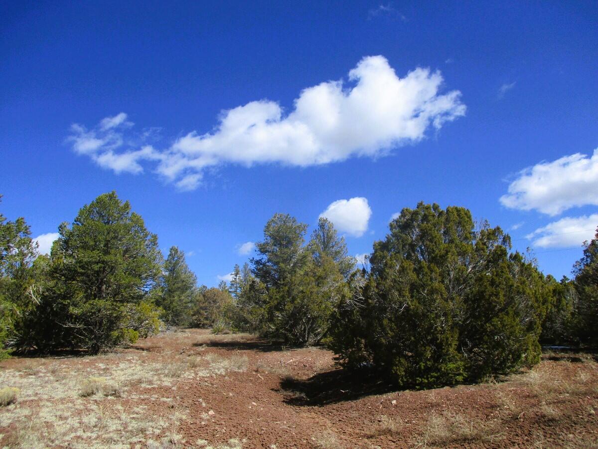 Lot 23 Copperweed Road, Ramah, New Mexico image 18