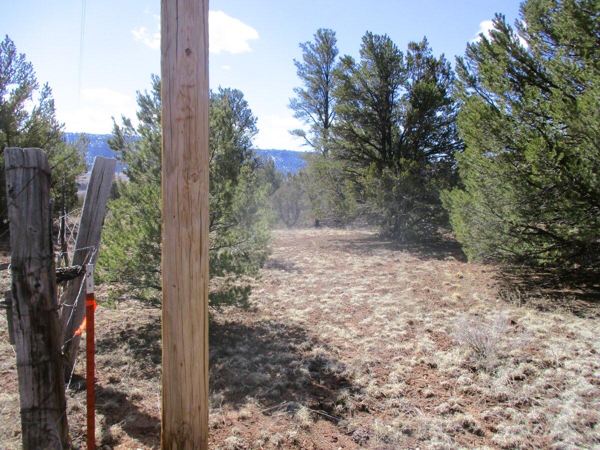 Lot 23 Copperweed Road, Ramah, New Mexico image 29