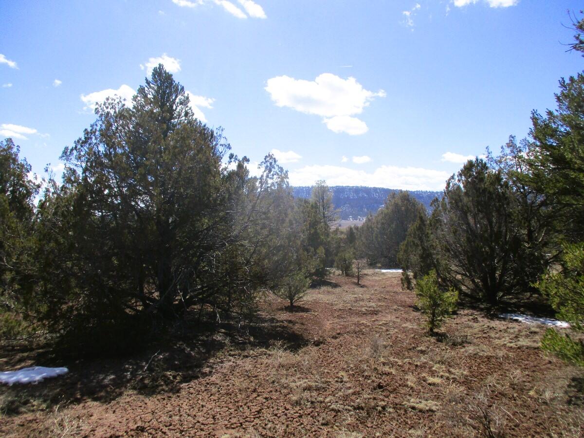 Lot 23 Copperweed Road, Ramah, New Mexico image 43