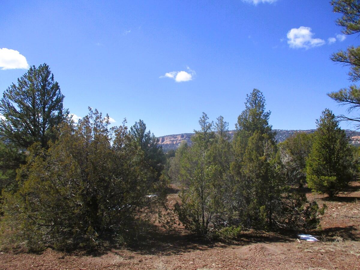 Lot 23 Copperweed Road, Ramah, New Mexico image 25