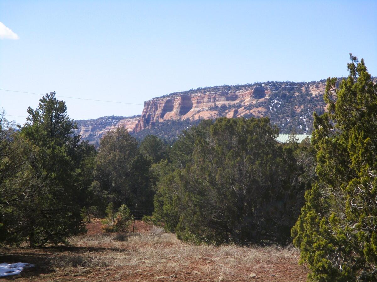 Lot 23 Copperweed Road, Ramah, New Mexico image 22