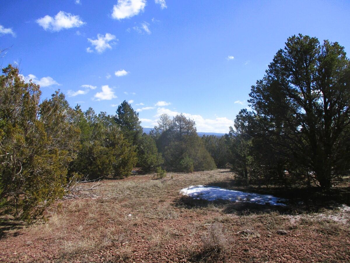 Lot 23 Copperweed Road, Ramah, New Mexico image 11