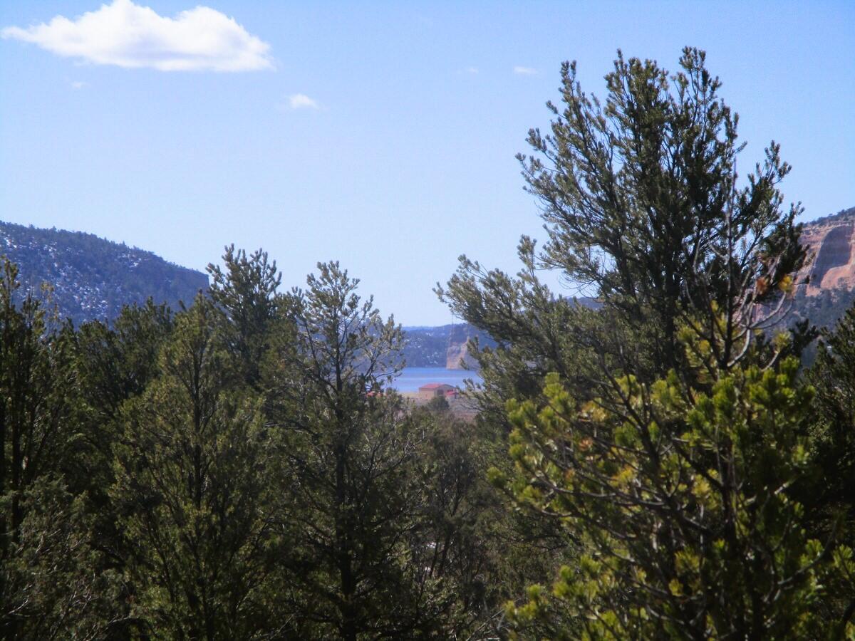 Lot 23 Copperweed Road, Ramah, New Mexico image 2