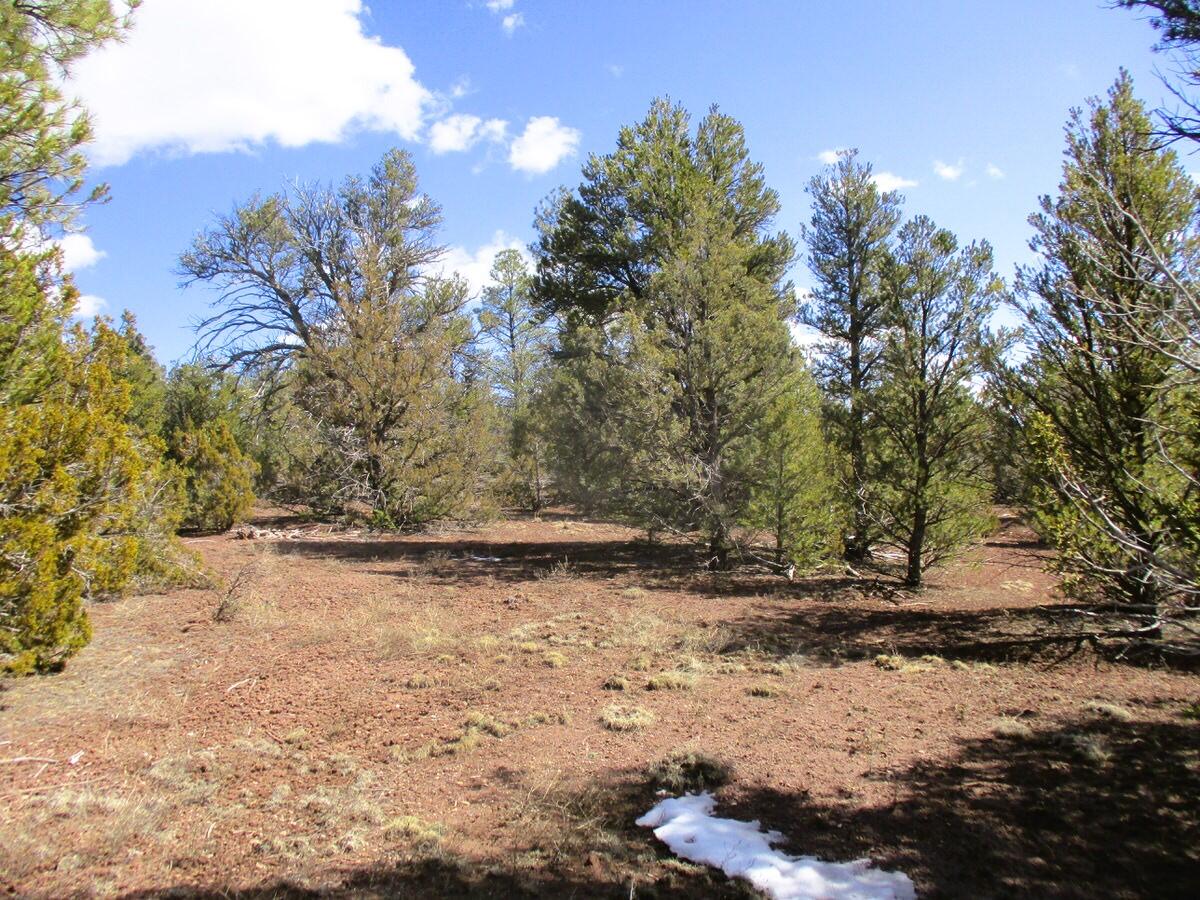 Lot 23 Copperweed Road, Ramah, New Mexico image 42