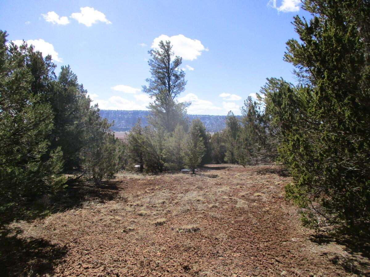 Lot 23 Copperweed Road, Ramah, New Mexico image 30