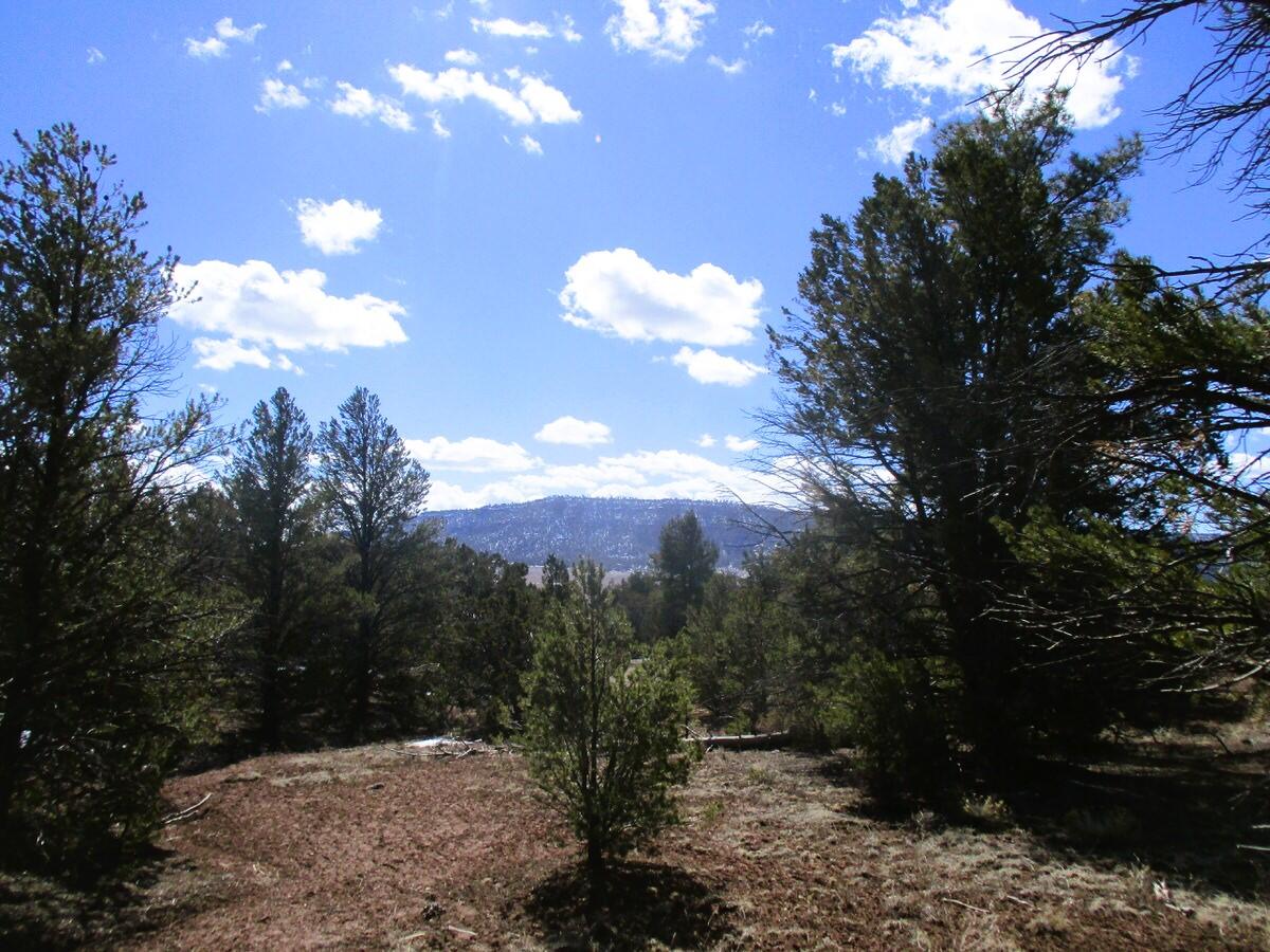 Lot 23 Copperweed Road, Ramah, New Mexico image 39