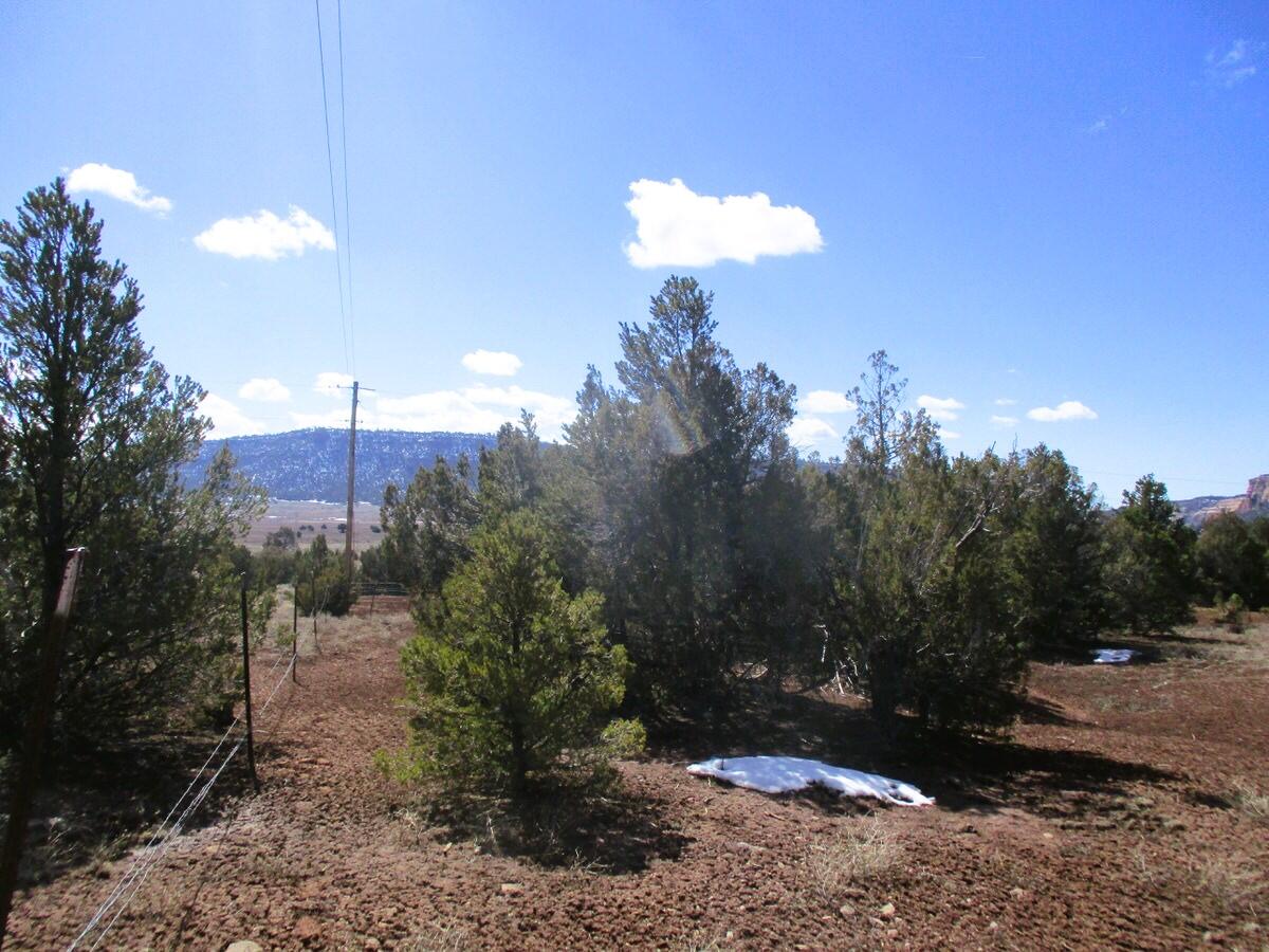 Lot 23 Copperweed Road, Ramah, New Mexico image 23