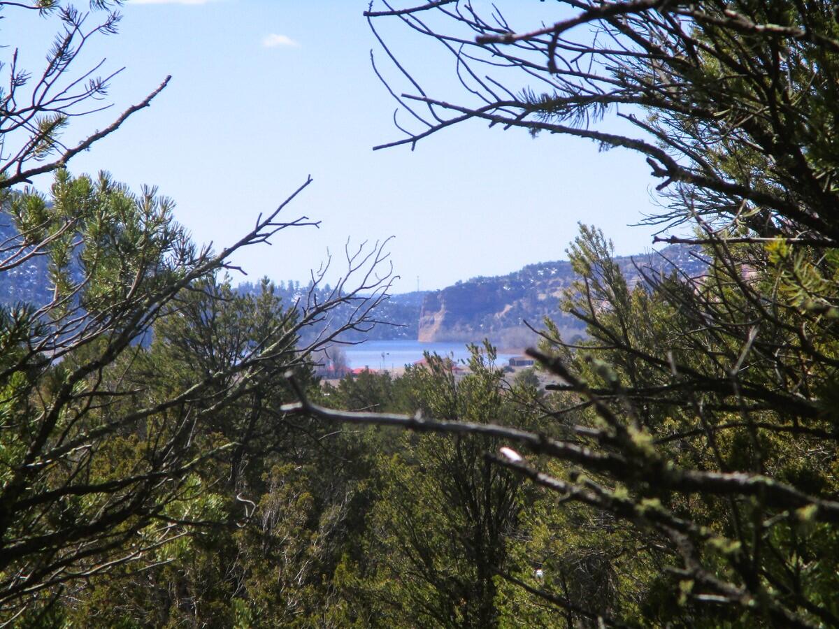 Lot 23 Copperweed Road, Ramah, New Mexico image 33