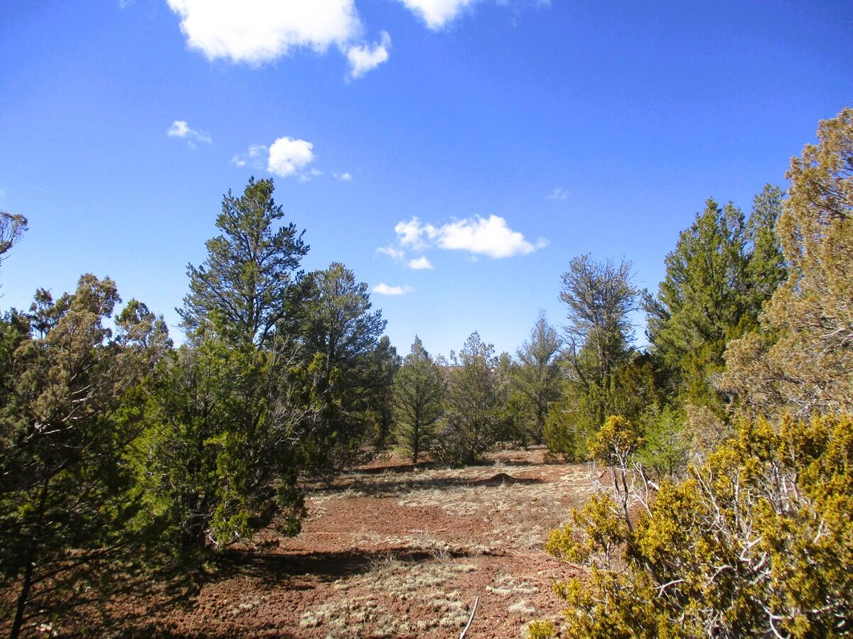 Lot 23 Copperweed Road, Ramah, New Mexico image 24