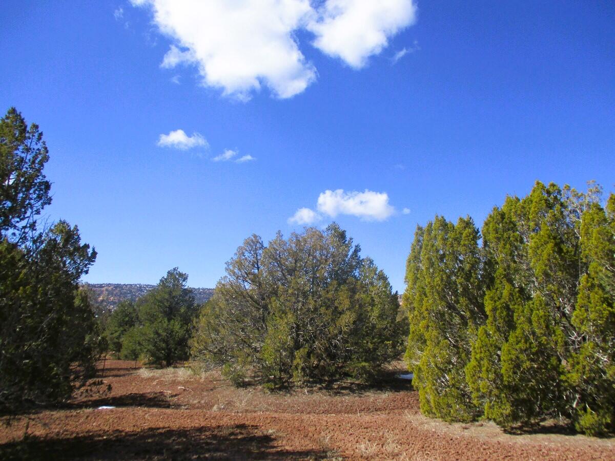 Lot 23 Copperweed Road, Ramah, New Mexico image 20