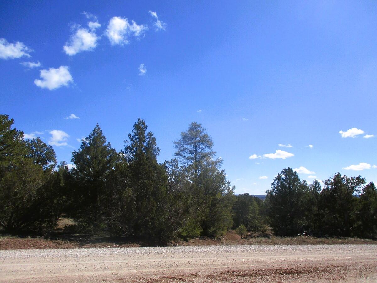 Lot 23 Copperweed Road, Ramah, New Mexico image 8