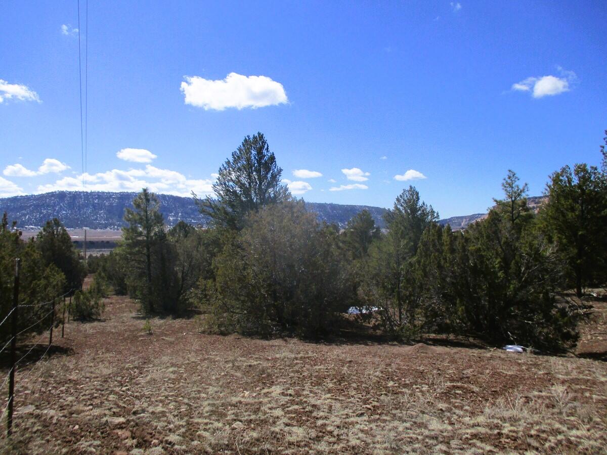 Lot 23 Copperweed Road, Ramah, New Mexico image 26