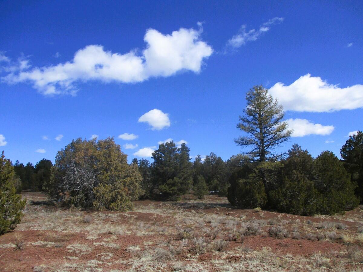 Lot 23 Copperweed Road, Ramah, New Mexico image 15