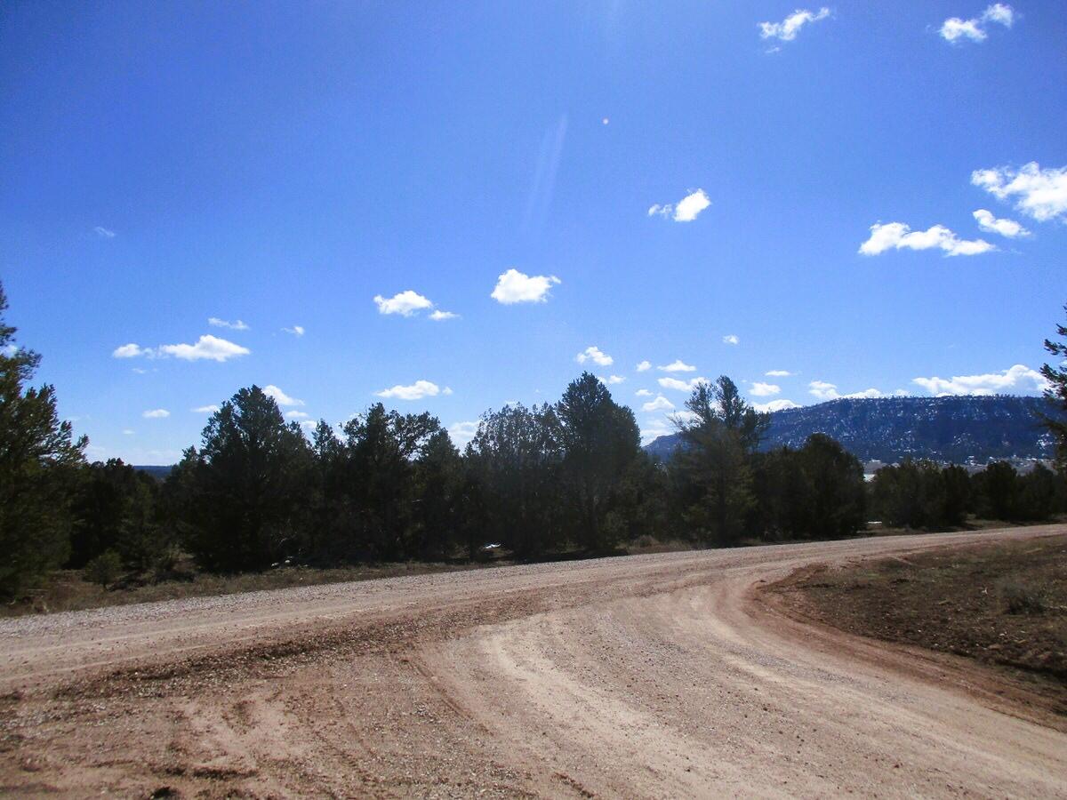 Lot 23 Copperweed Road, Ramah, New Mexico image 7