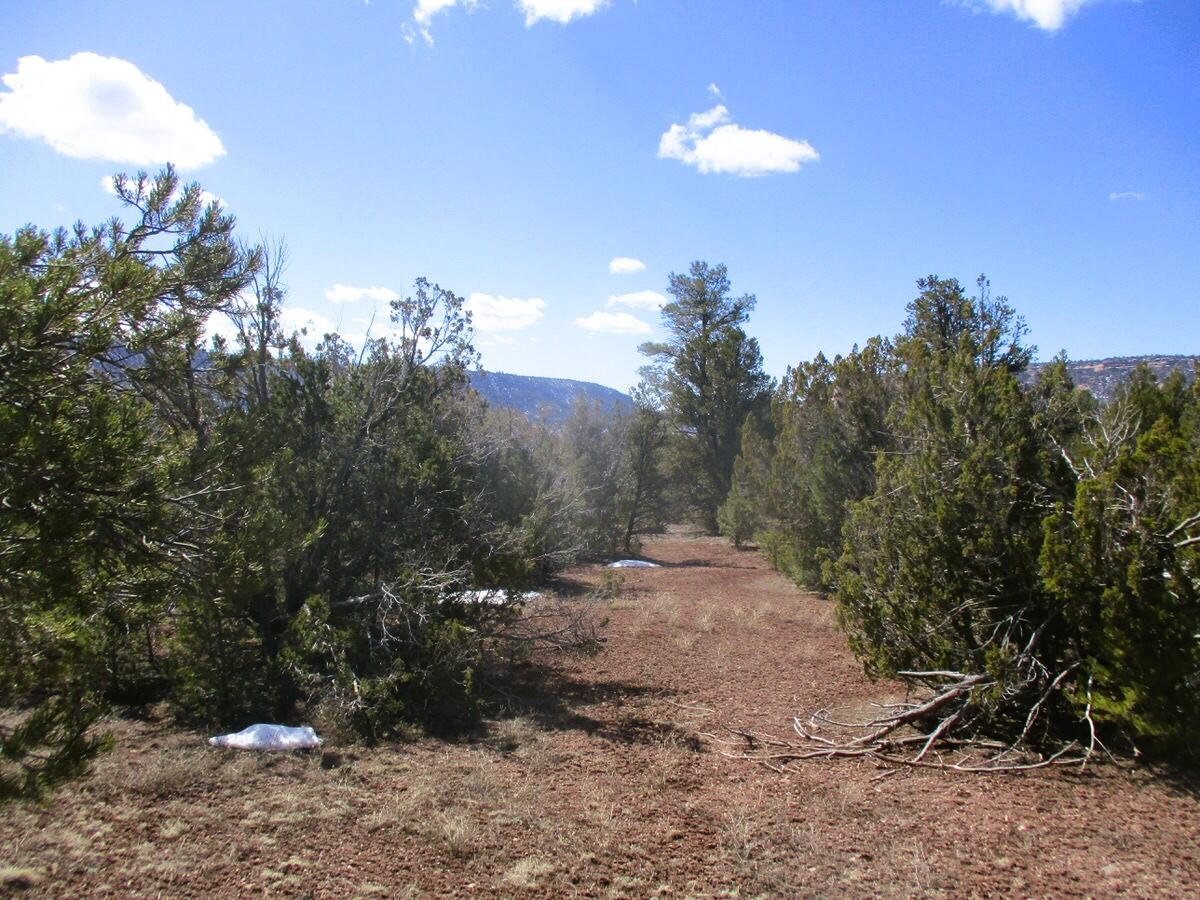 Lot 23 Copperweed Road, Ramah, New Mexico image 37