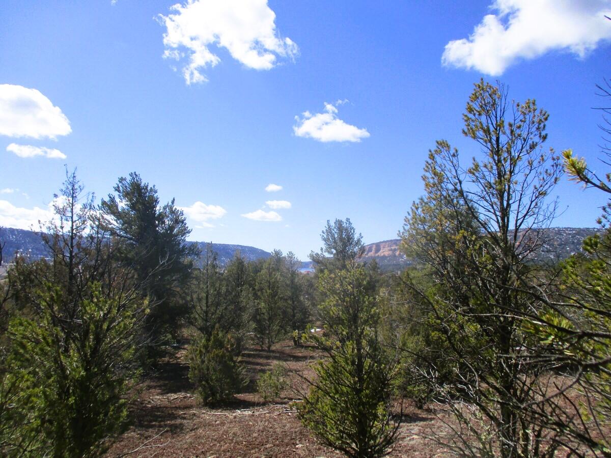 Lot 23 Copperweed Road, Ramah, New Mexico image 1