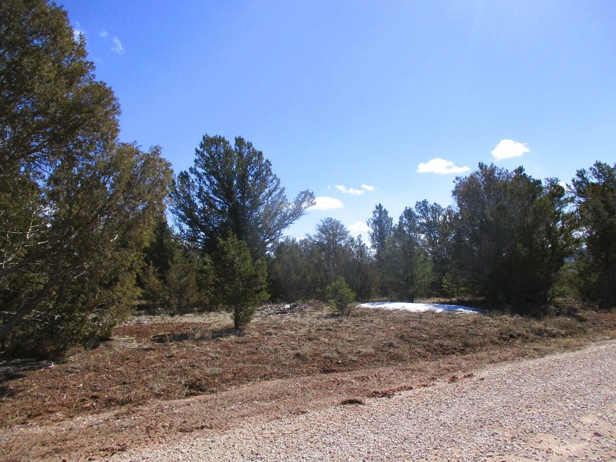 Lot 23 Copperweed Road, Ramah, New Mexico image 6