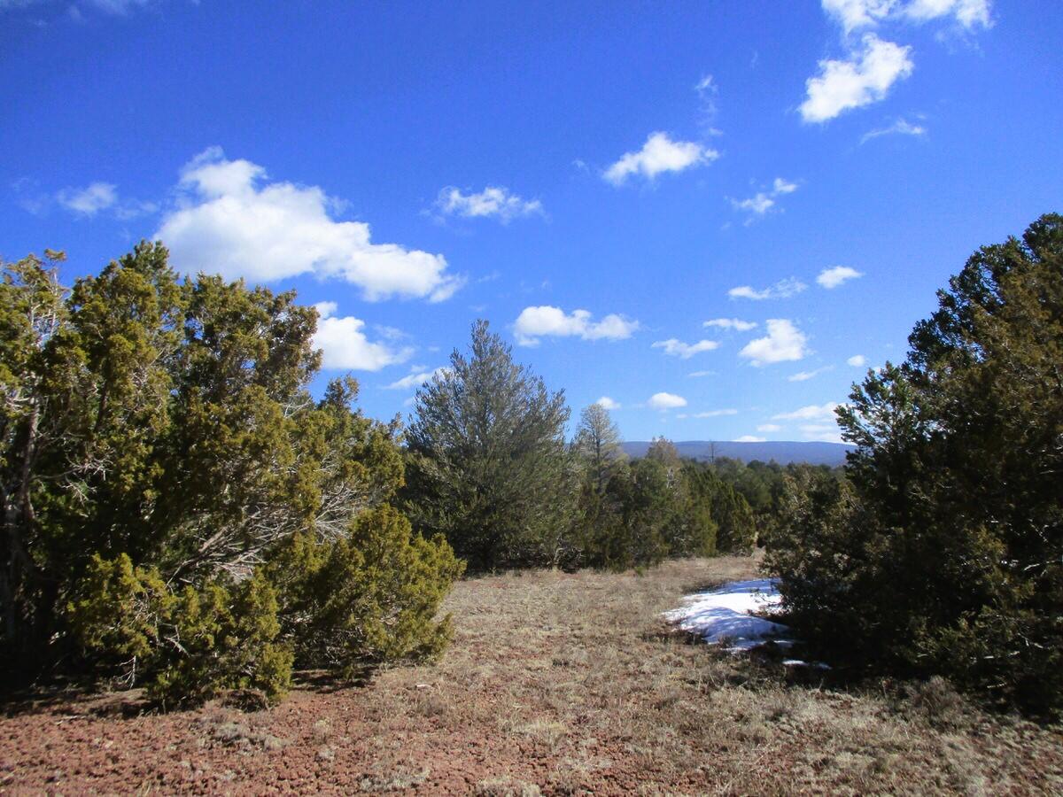 Lot 23 Copperweed Road, Ramah, New Mexico image 12