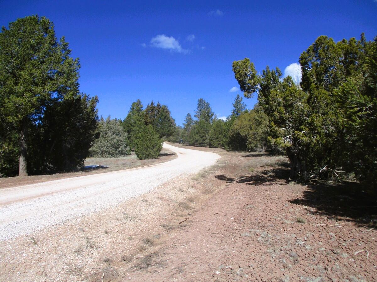 Lot 23 Copperweed Road, Ramah, New Mexico image 44