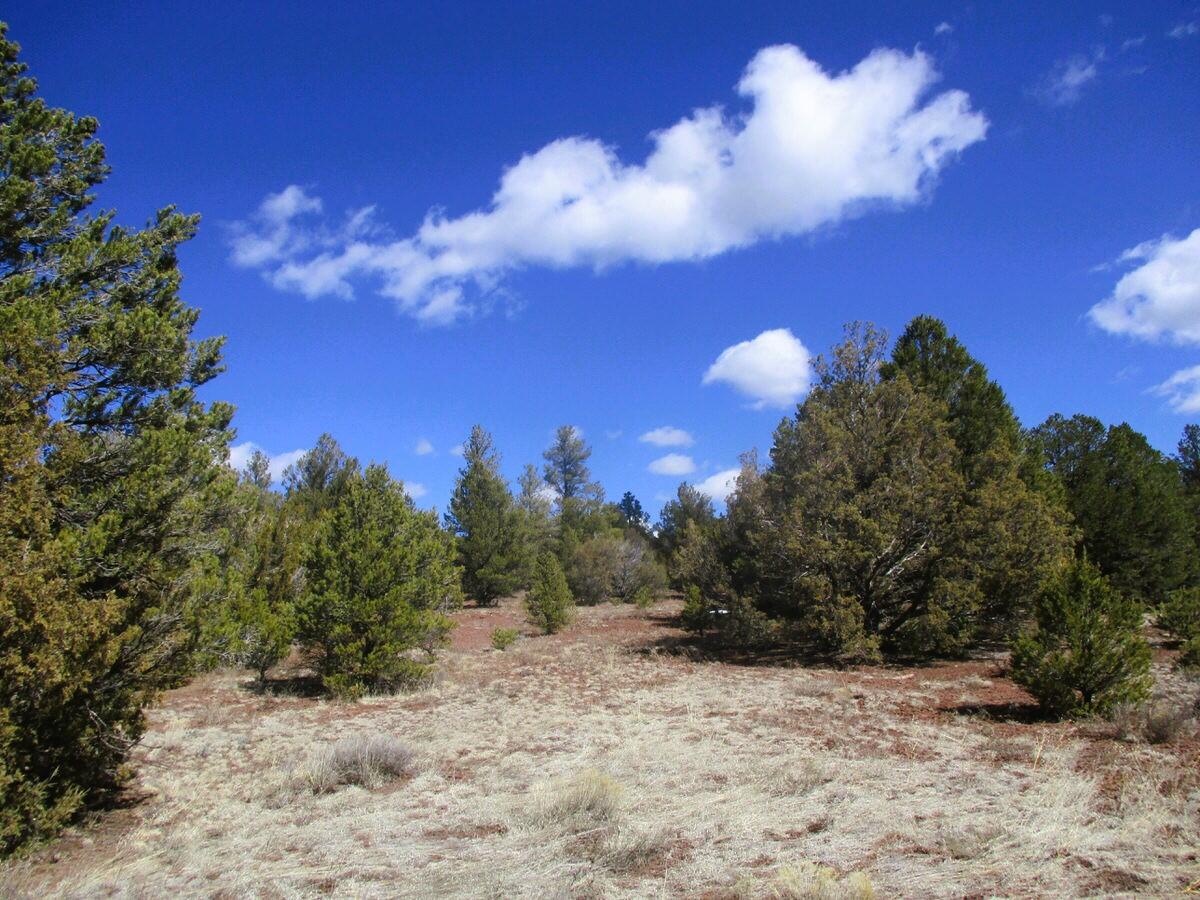 Lot 23 Copperweed Road, Ramah, New Mexico image 17