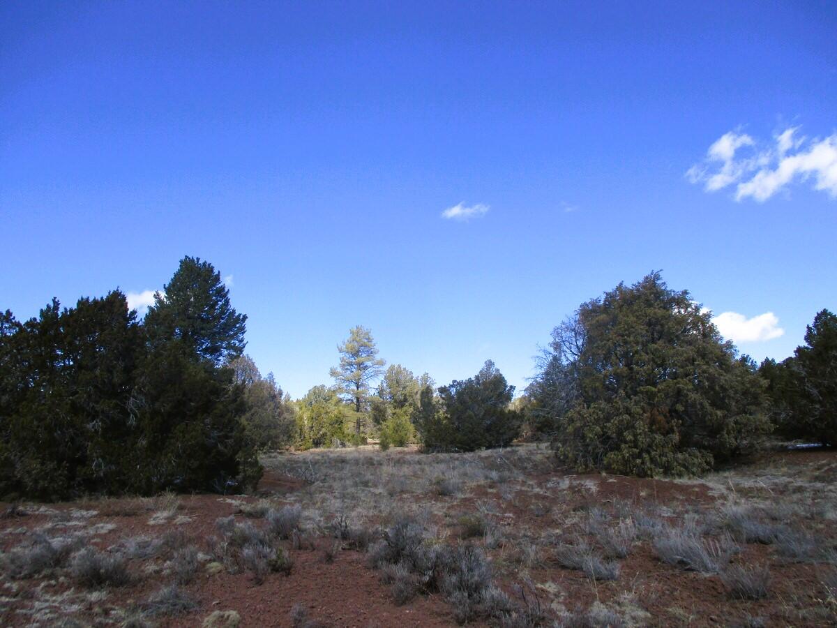 Lot 23 Copperweed Road, Ramah, New Mexico image 16