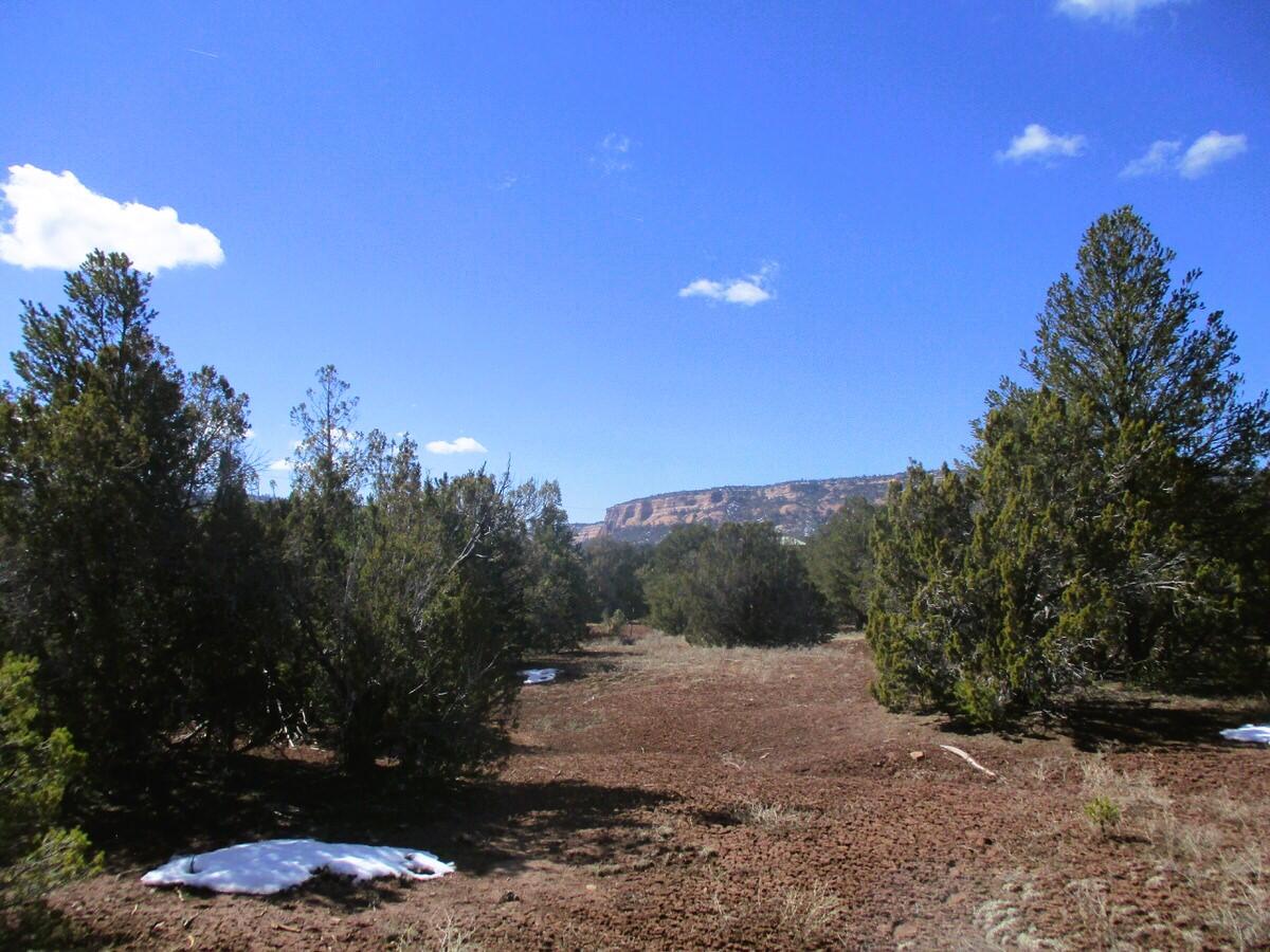 Lot 23 Copperweed Road, Ramah, New Mexico image 21