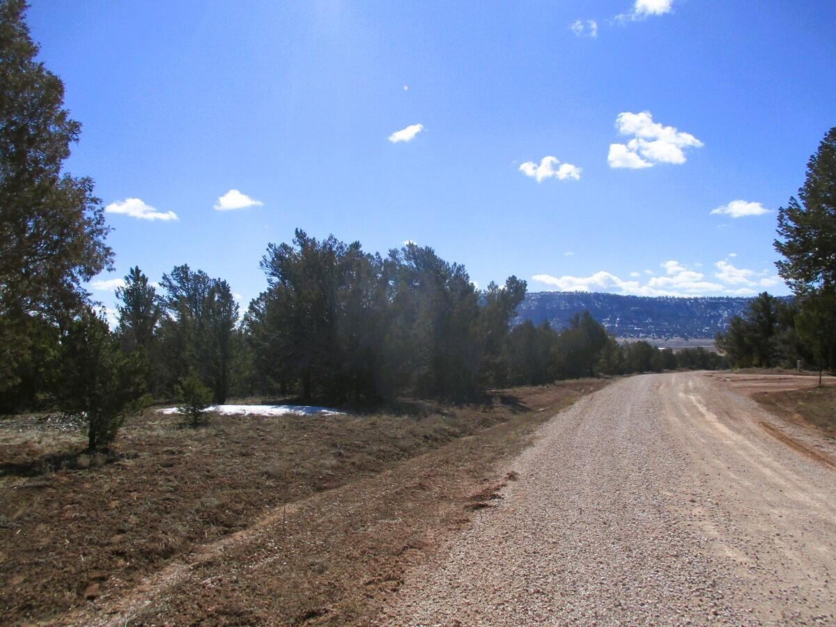 Lot 23 Copperweed Road, Ramah, New Mexico image 5