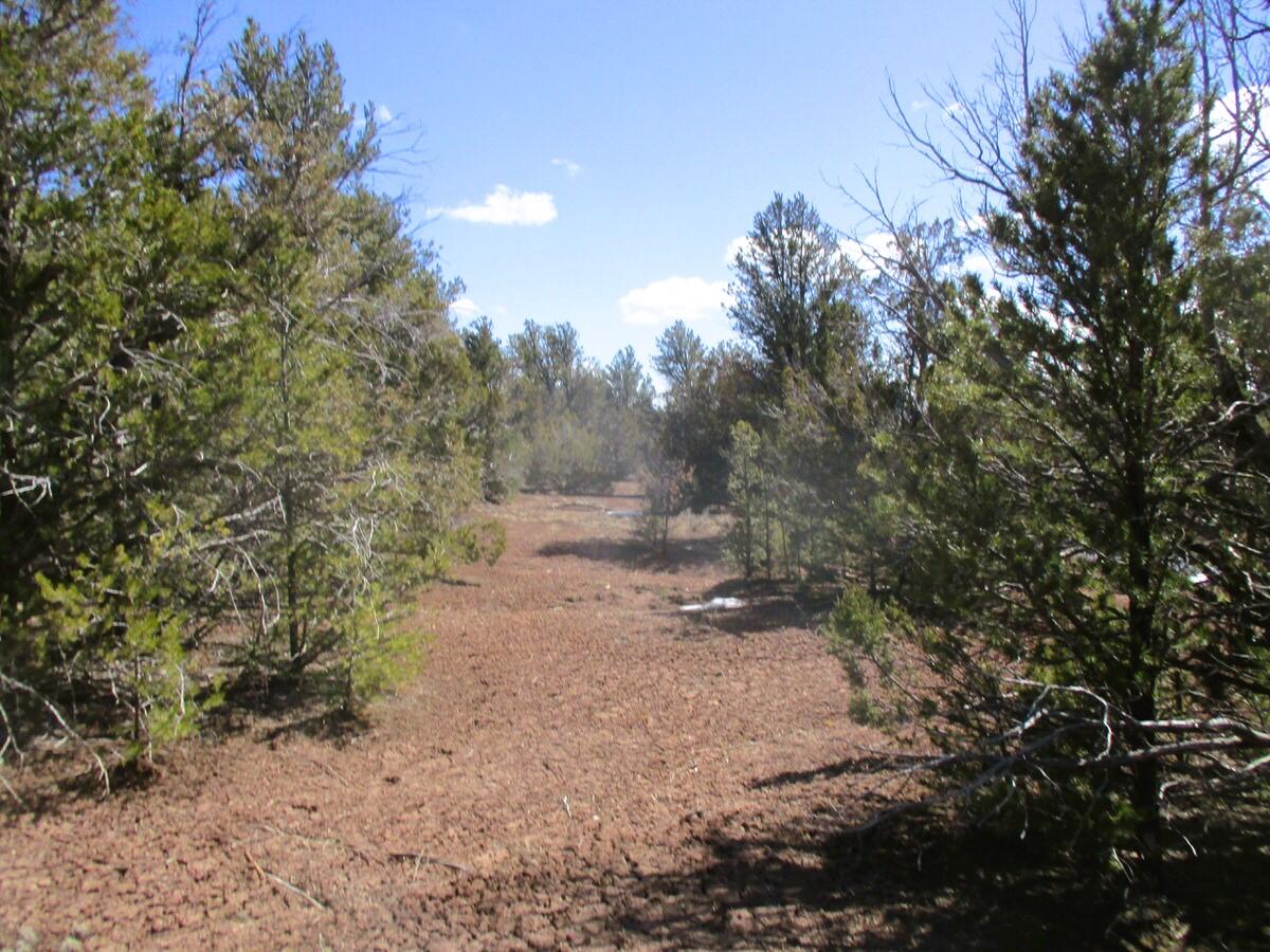 Lot 23 Copperweed Road, Ramah, New Mexico image 41