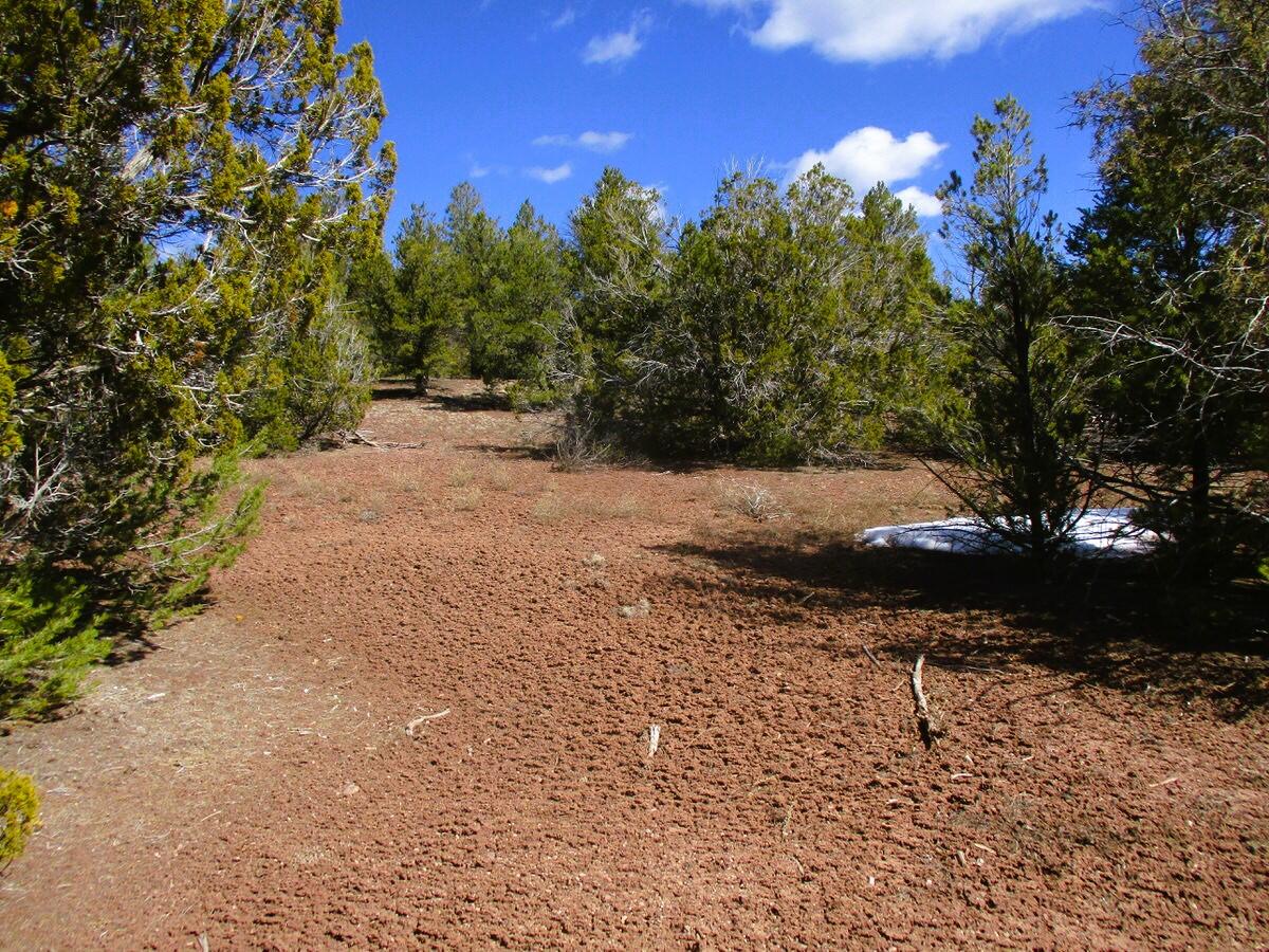 Lot 23 Copperweed Road, Ramah, New Mexico image 40