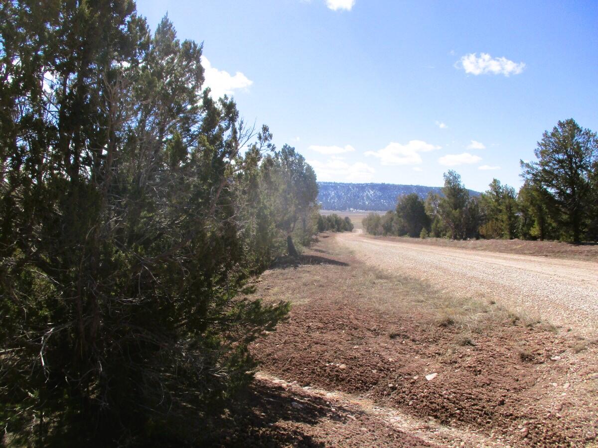 Lot 23 Copperweed Road, Ramah, New Mexico image 46