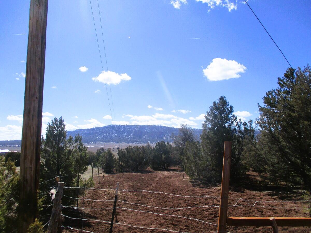 Lot 23 Copperweed Road, Ramah, New Mexico image 19