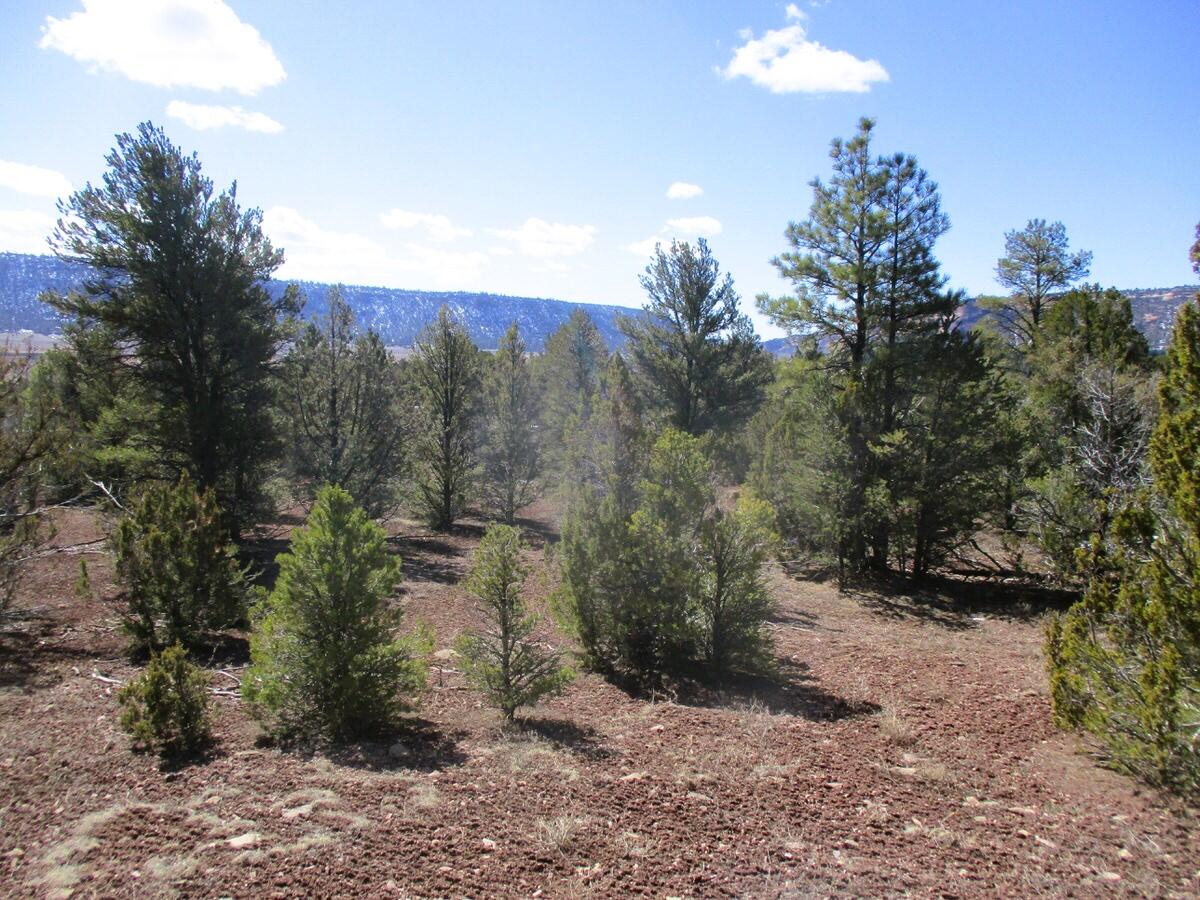 Lot 23 Copperweed Road, Ramah, New Mexico image 36