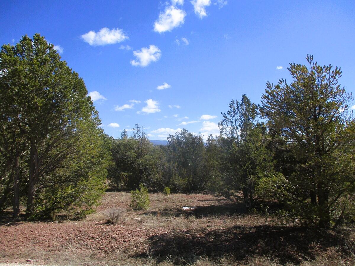 Lot 23 Copperweed Road, Ramah, New Mexico image 10