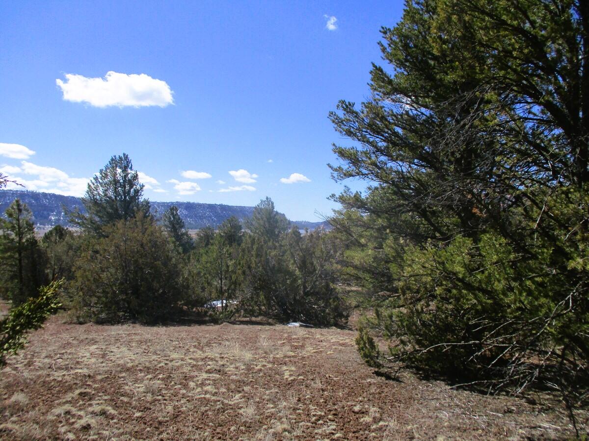 Lot 23 Copperweed Road, Ramah, New Mexico image 27