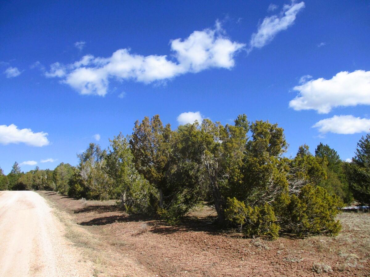 Lot 23 Copperweed Road, Ramah, New Mexico image 13