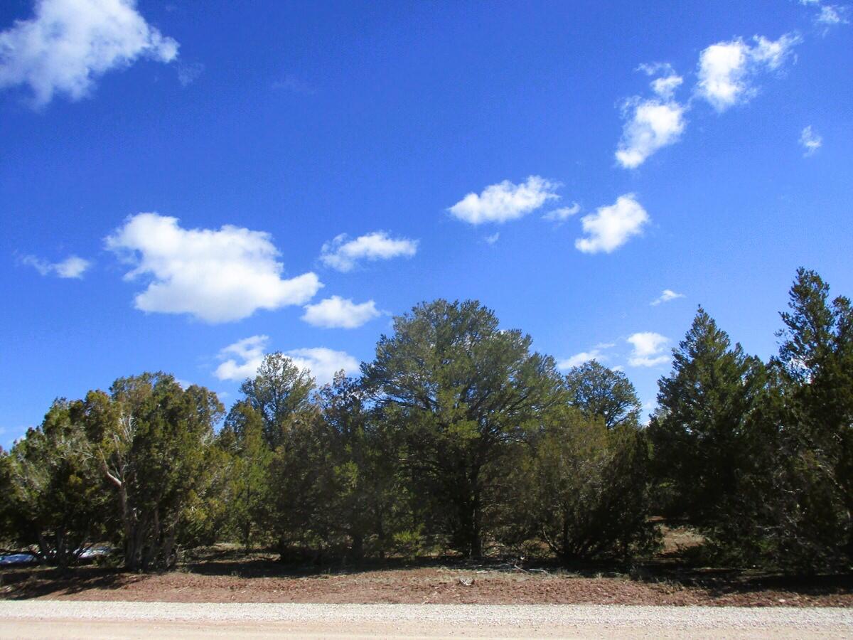 Lot 23 Copperweed Road, Ramah, New Mexico image 9