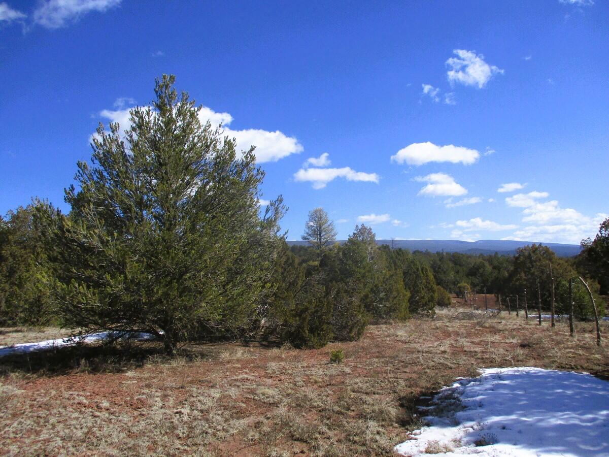 Lot 23 Copperweed Road, Ramah, New Mexico image 14