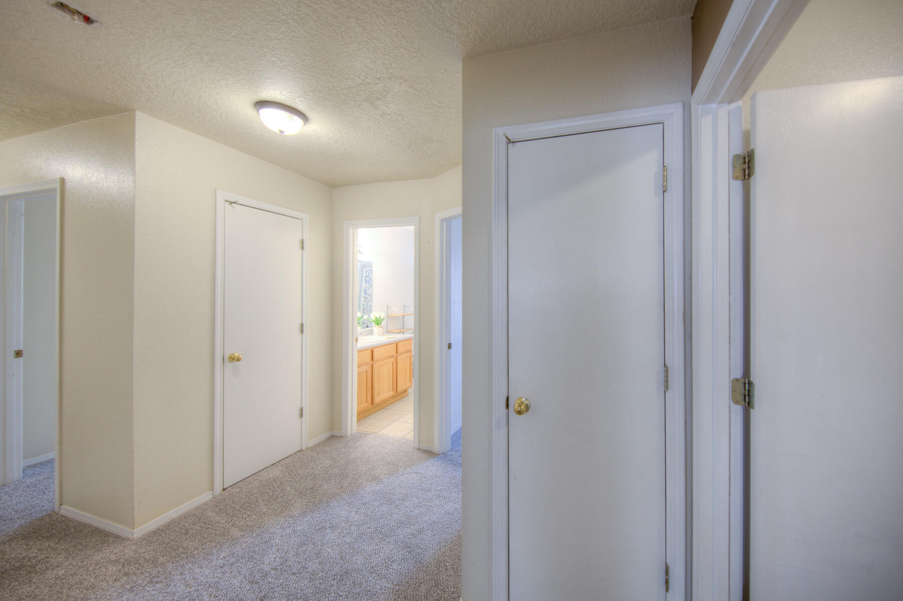 10639 Rigoletto Drive, Albuquerque, New Mexico image 42