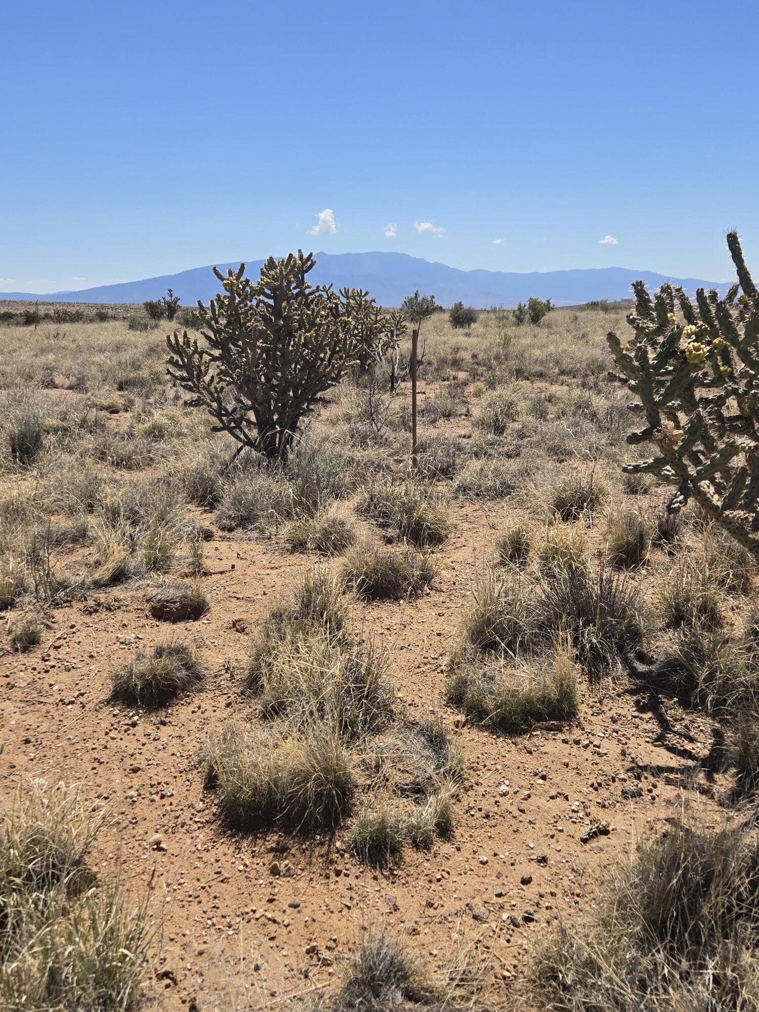 5002 Dudley Drive, Rio Rancho, New Mexico image 5