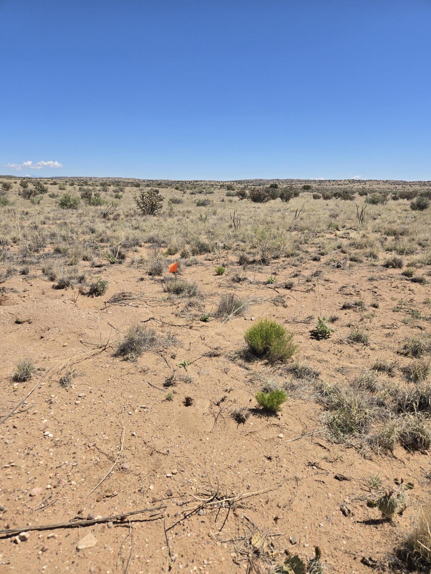 5002 Dudley Drive, Rio Rancho, New Mexico image 4