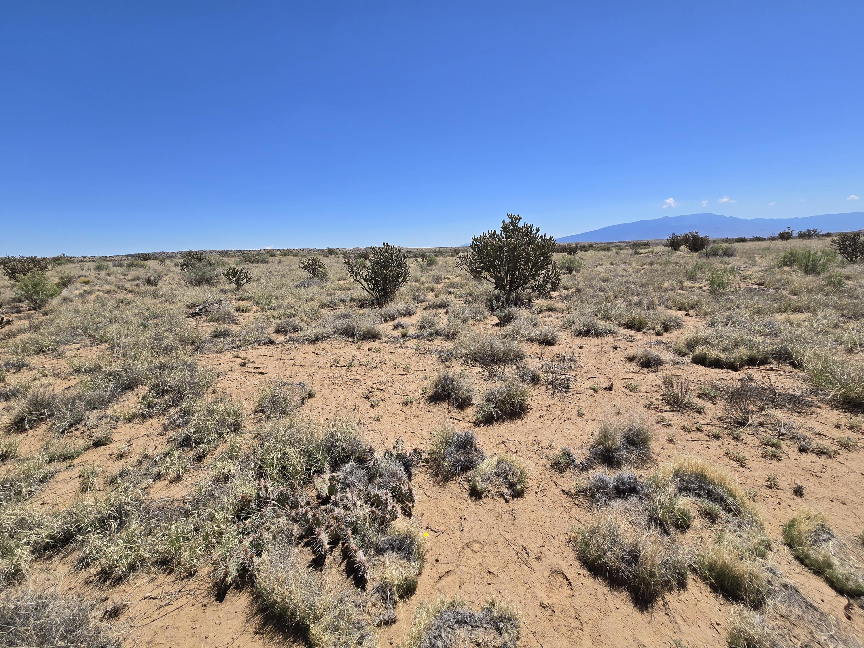 5002 Dudley Drive, Rio Rancho, New Mexico image 6