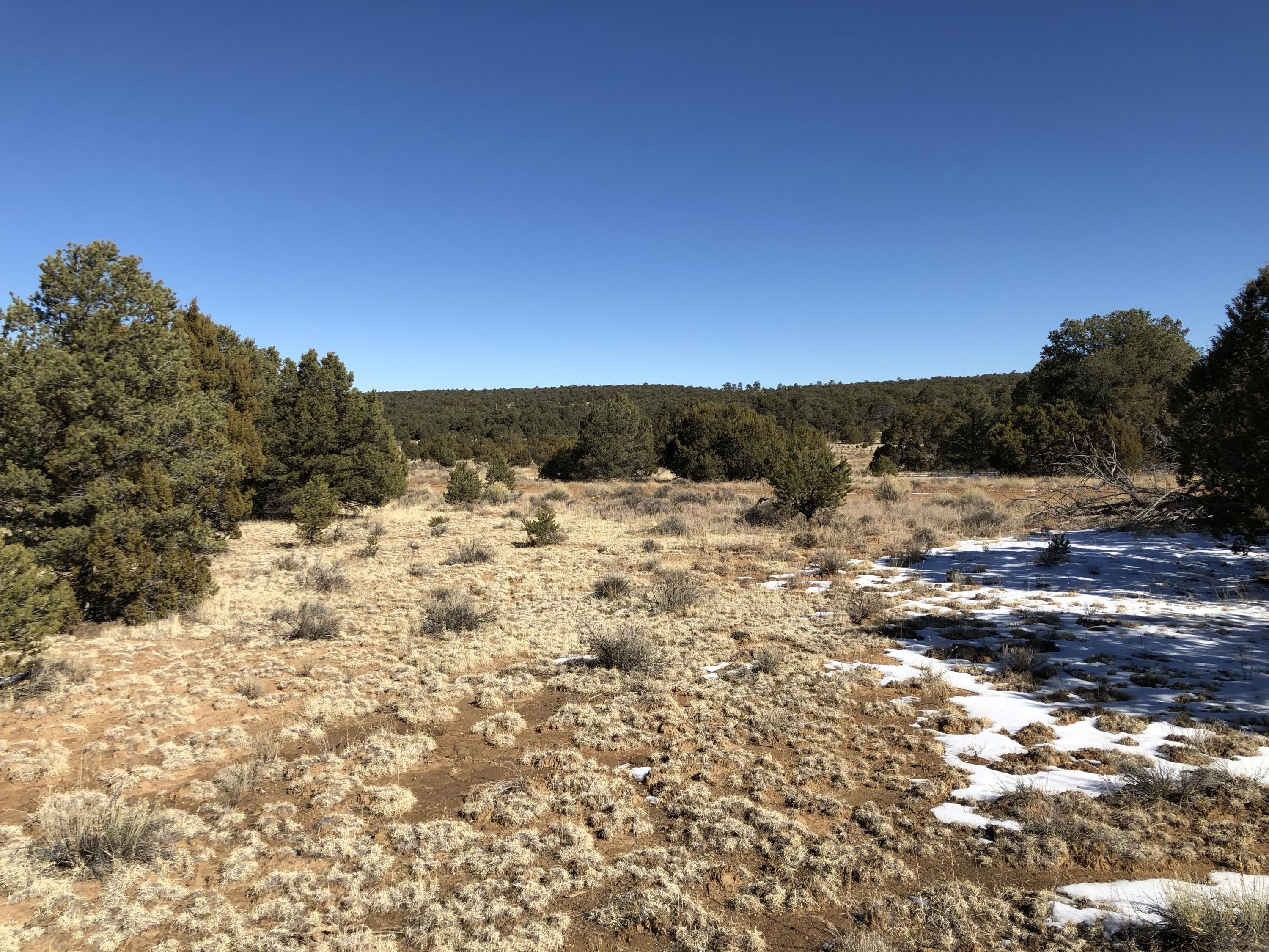 Lot 27 Country Lane, Ramah, New Mexico image 24