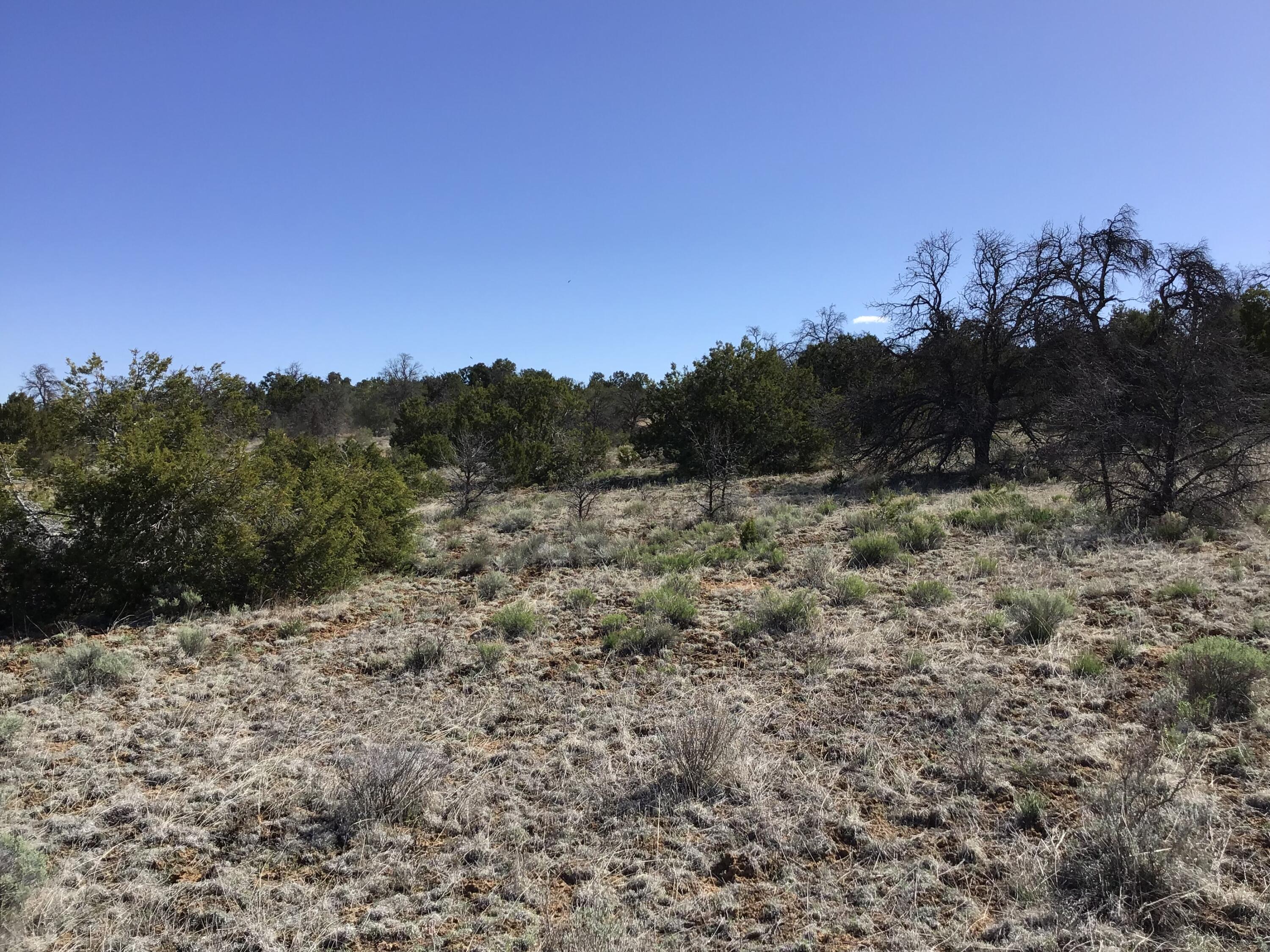 Lot 27 Country Lane, Ramah, New Mexico image 49