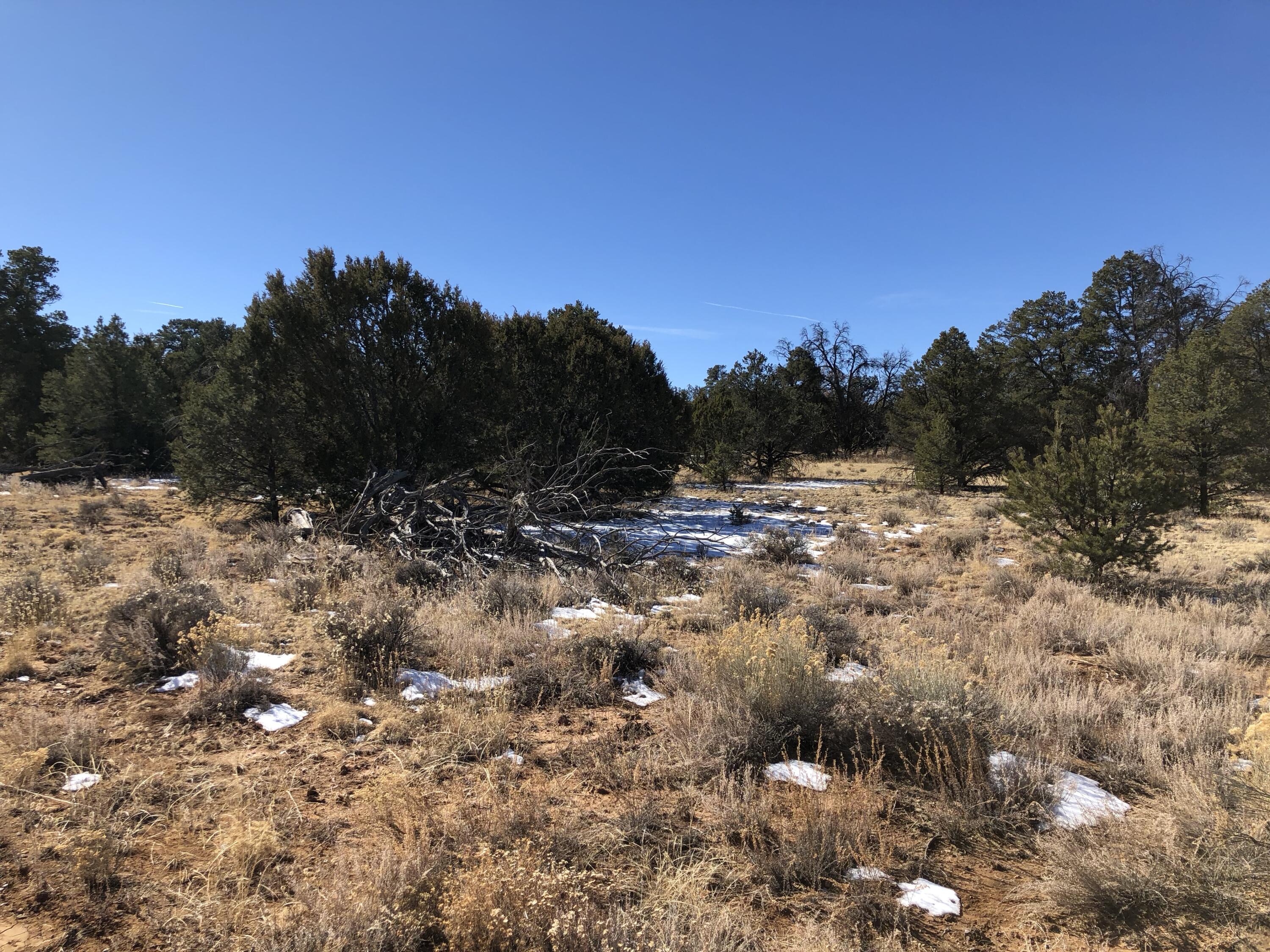 Lot 27 Country Lane, Ramah, New Mexico image 27