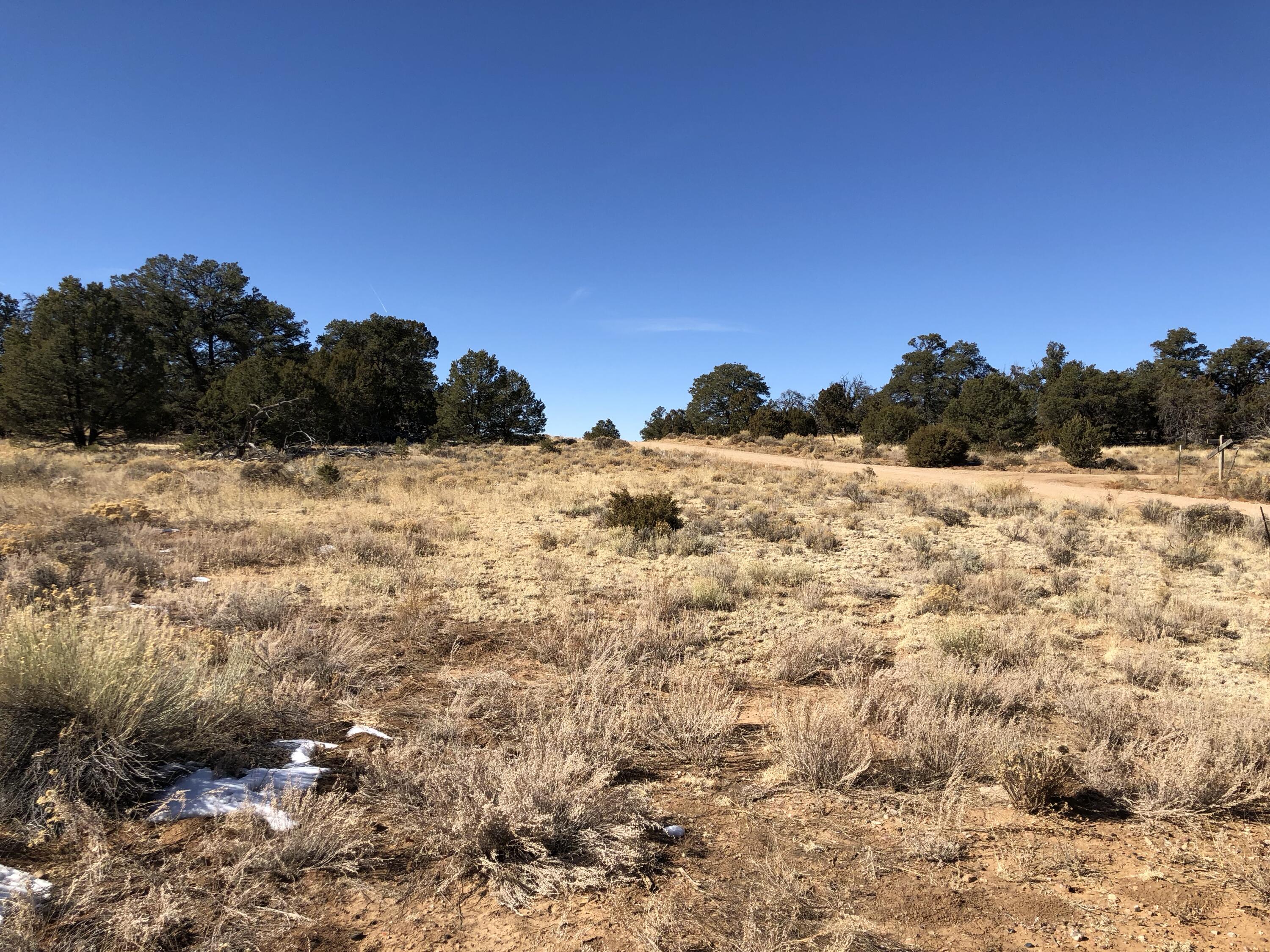 Lot 27 Country Lane, Ramah, New Mexico image 5