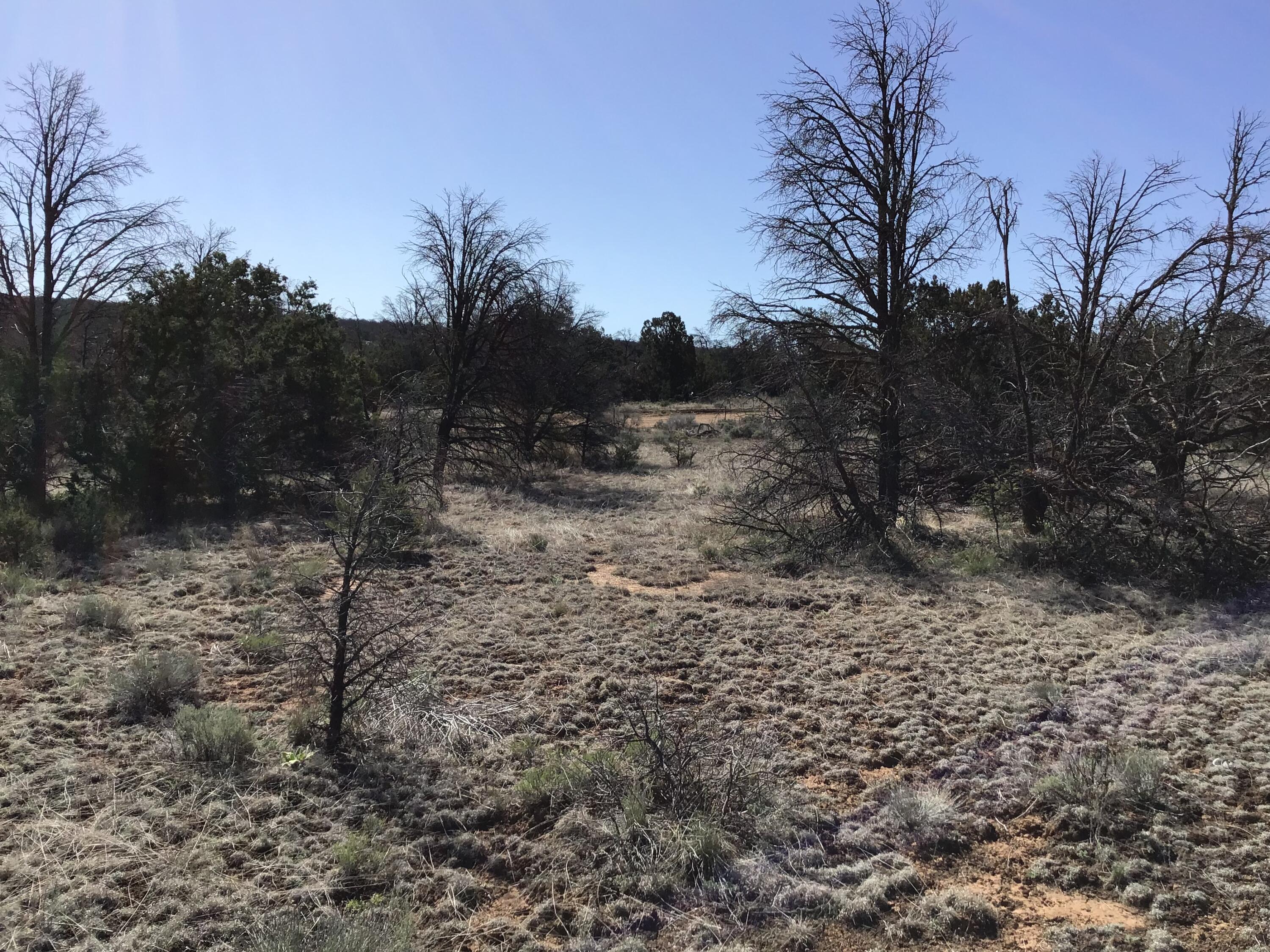 Lot 27 Country Lane, Ramah, New Mexico image 36