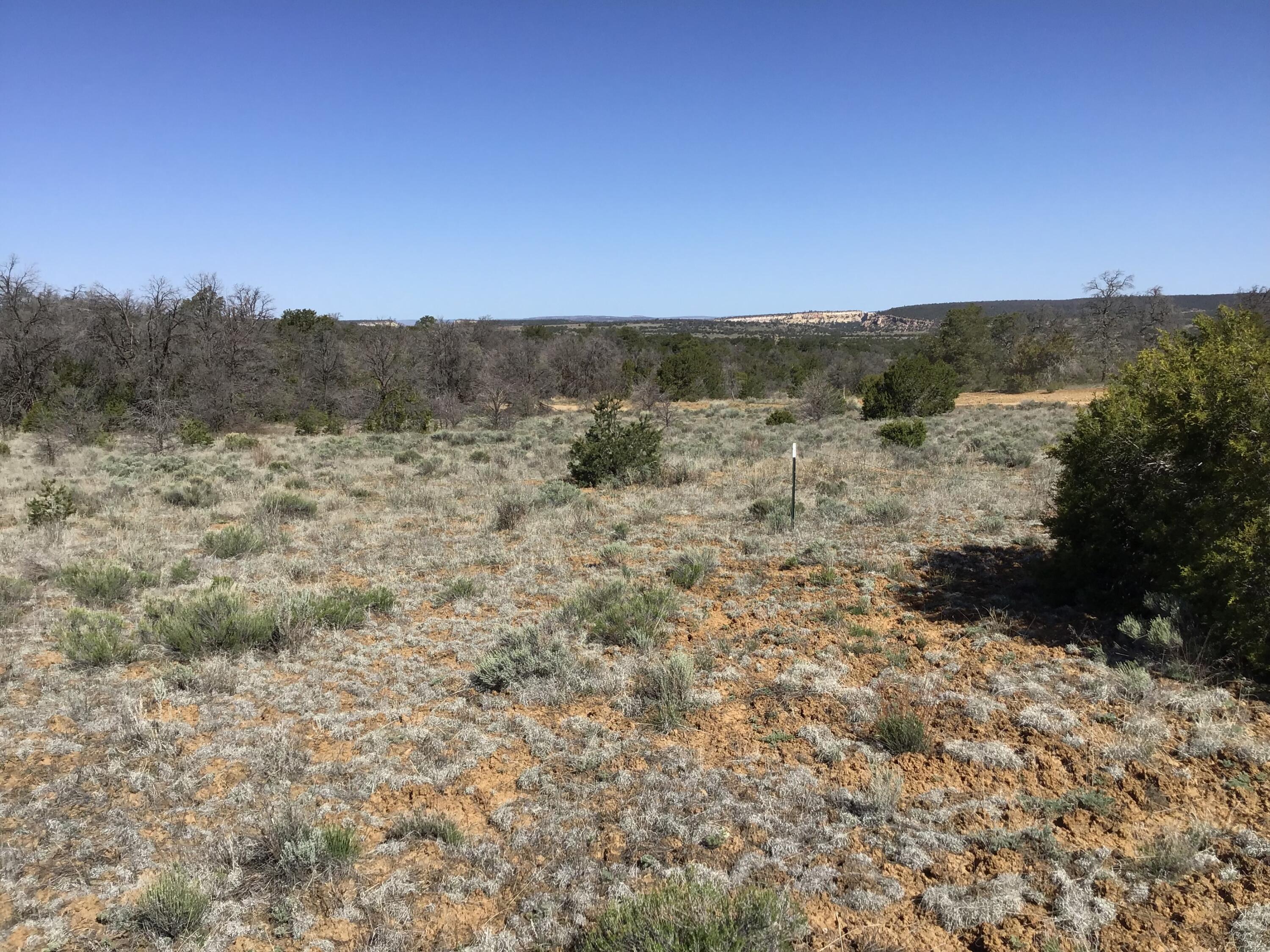 Lot 27 Country Lane, Ramah, New Mexico image 1